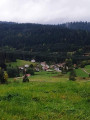 Les Gras Les Gras