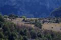 les Guègues les Guègues