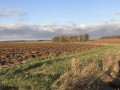 les hauts de Sammeron