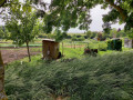 Les jardins des Marais