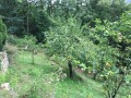 Les jardins du Bardot