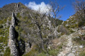 Boucle de la Chapelle Saint-Pierre depuis Soleilhas