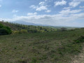 Les landes de Saint-Pee-sur-Nivelle