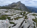 les Lapiaz