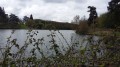 Les levées de l'étang de la Bretonnière