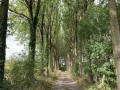 Les Longues Haies