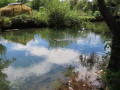 les marais de Bourges