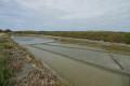 Entre marais et océan sur l'Île de Noirmoutier