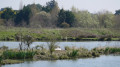 Autour du Port du Collet