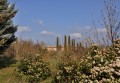 Tour in den Alpilles