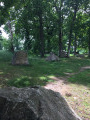 Le cimetière des druides de Pleslin-Trigavou