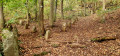 Les menhirs d'Appenthal