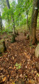 Les menhirs d'Appenthal