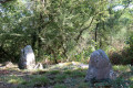 Les menhirs de Tr&eacute;foux