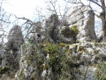 Les Merveilles