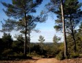 Le tour de la Forêt de Valabre Le tour de la Forêt de Valabre