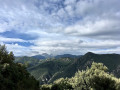 Les montagnes verdoyantes