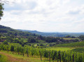 Les Monts d'Arbois