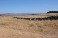 Les Monts d'Aubrac entre Aubrac et Nasbinals
