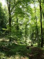 Les Monts de Souvance Les Monts de Souvance
