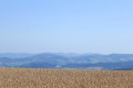 Le Mont des Salles en boucle au départ des Sauvages