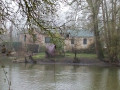 Les bords de Sarthe à Saint-Pavace