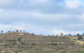 Les moulins de Nissan