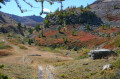 Les myrtilliers rouges sur le chemin vers le Lac de l'Oule