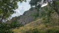 Les orgues
