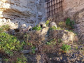 Le Vallon de la Fontaine de l'Oule à Lagnes