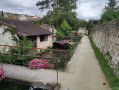 Les petits ponts