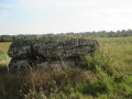 Le Marais de Fouras et les Pierres Closes