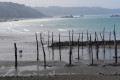 Les pieux du port de Qwin Zégal