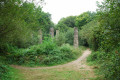 lLs piliers de l'ancien pont