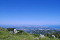 Puig dels Quatre Termes via la Collada de l'Orri depuis La Farga (Sorède) Puig dels Quatre Termes via la Collada de l'Orri depuis La Farga (Sorède)
