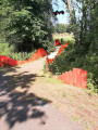 Les "planches rouges" Les "planches rouges"