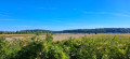 Circuit des Polders de la Baie à Roz-sur-Couesnon