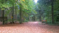 "Les portes" de la Forêt Domaniale de Sedan "Les portes" de la Forêt Domaniale de Sedan