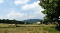 Les praires de Laproz