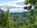 En forêt à Saint-Martin-les-Eaux