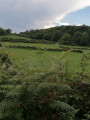 Les près