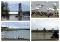 Les quais du Rône