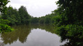 Les reflets du lac