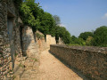 De Le Perray à Montfort par les étangs de Saint-Hubert et de Hollande De Le Perray à Montfort par les étangs de Saint-Hubert et de Hollande