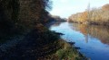 Les rives du Cher