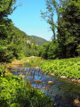 Les rives du Doubs