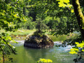 Les rives du Doubs