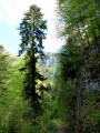 Les roches du Côtard