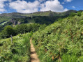 Les Roches Folles et la crête de Cabrespine