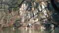 Les roches